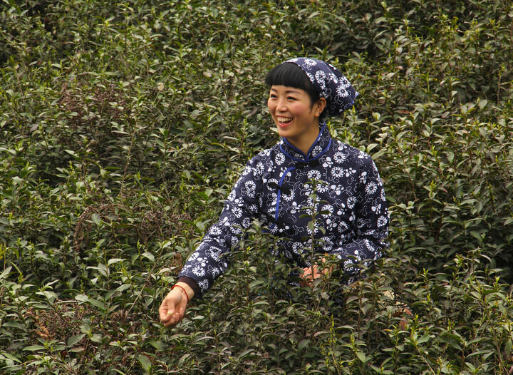 红磨坊房间
